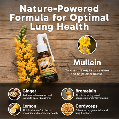💖✨Celsiora® New Maximum Potency Mullein Spray (Helps relieve difficulty coughing up phlegm, shortness of breath, excessive mucus and lung infections)