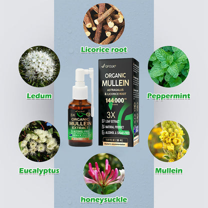 💖💥GFOUK®3X Concentrated Mullein Lung Cleanse Spray —Difficulty coughing up phlegm, shortness of breath, excessive mucus, bronchitis, and lung infections